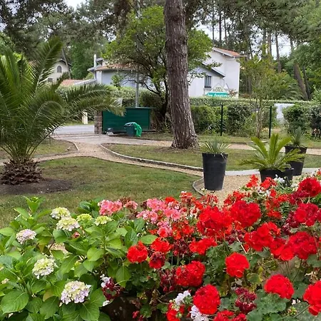 Villa De Charme Avec Piscine A 500m Des Plages Soorts-Hossegor